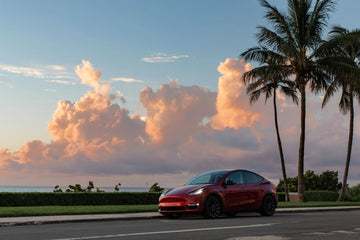 Mastering Your First Electric Road Trip: Insights and Tips from Tesla Owners - Tesery Official Store