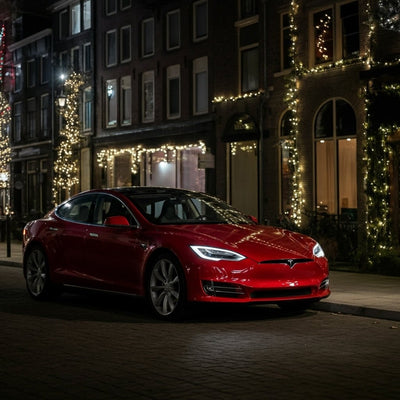 Tesla Europe가 네덜란드 휴가 캠페인에서 FSD 동승 체험을 시작합니다