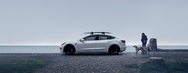 Model Y/3용 테슬라 루프랙: 알아야 할 사항