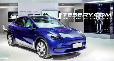 테슬라 옵티머스 로봇, 중국 매장에서 화제: 미래를 엿보다