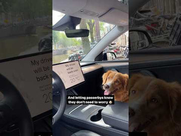 The Ultimate Guide to Tesery Tesla Model Y Dog Mode - Tesery Official Store