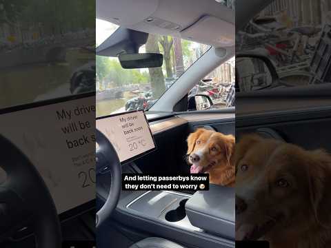 The Ultimate Guide to Tesery Tesla Model Y Dog Mode