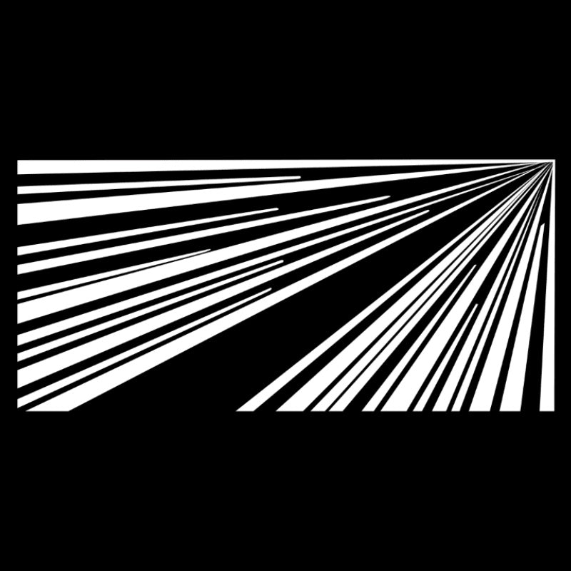 Commemorative Badge License Plate Projection Lights for Model 3 Highland/Model Y - Tesery Official Store