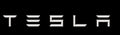 Tailgate Lettered Rear Logo Replacement For Tesla Model 3/Y - Tesery Official Store