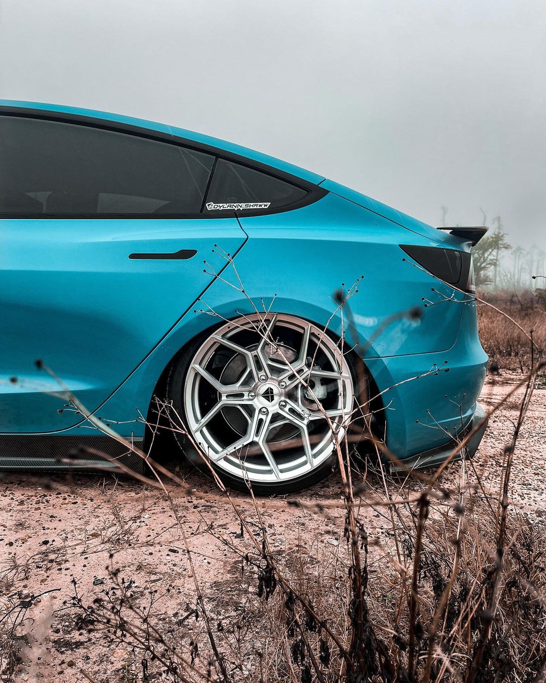 TESERY Tesla Model 3 Carbon Fiber Rear Spoiler Ver.3 - Tesery Official Store