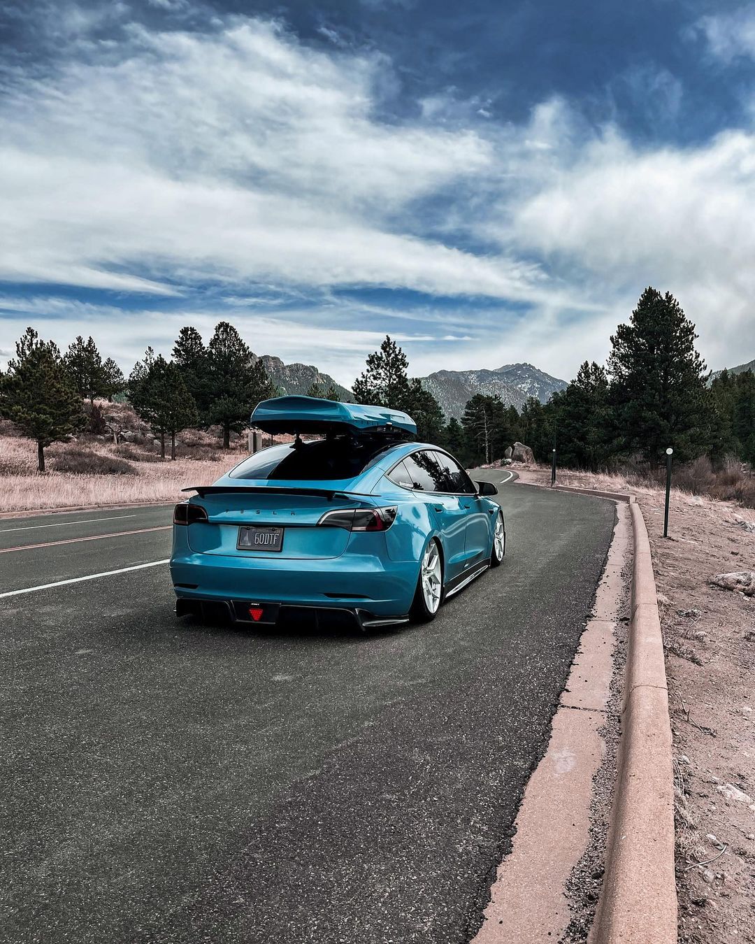 TESERY Tesla Model 3 Carbon Fiber Rear Spoiler Ver.3 - Tesery Official Store