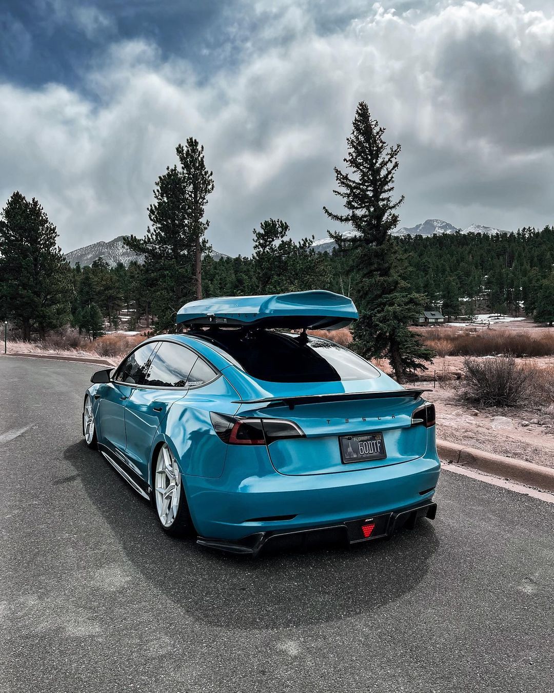 TESERY Tesla Model 3 Carbon Fiber Rear Spoiler Ver.3 - Tesery Official Store
